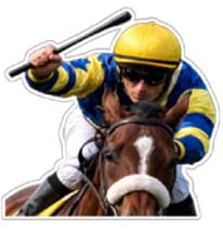 Make Whip Rules Absolute